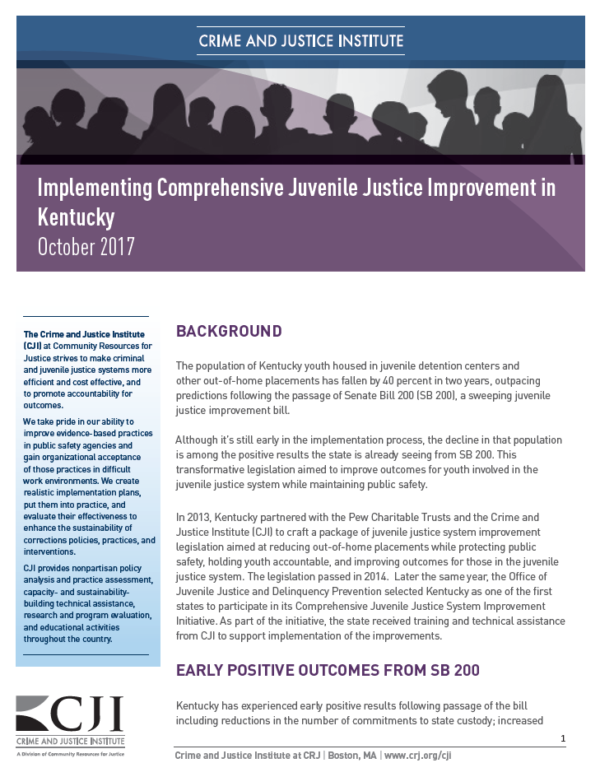 research papers on juvenile justice system