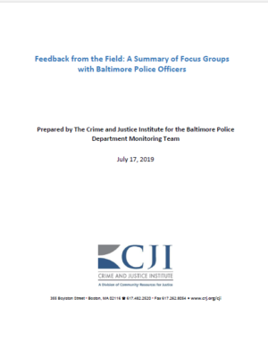 Feedback from the Field report cover