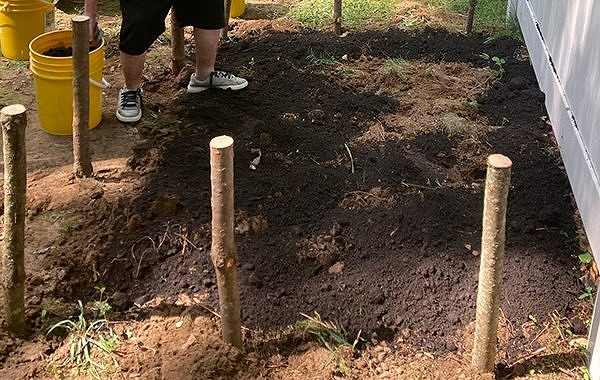 A person planting a garden