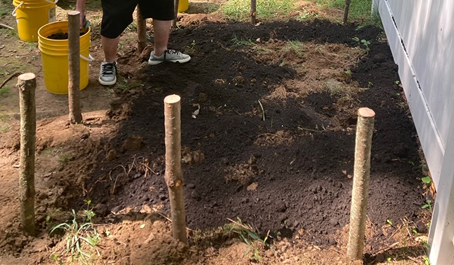 A person planting a garden